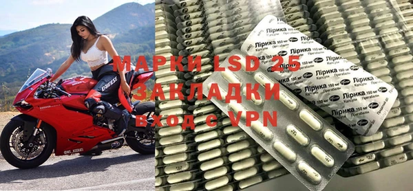 ГАЛЛЮЦИНОГЕННЫЕ ГРИБЫ Каменка