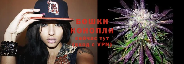 ГАЛЛЮЦИНОГЕННЫЕ ГРИБЫ Каменка