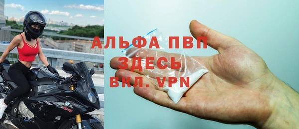 ГАЛЛЮЦИНОГЕННЫЕ ГРИБЫ Каменка