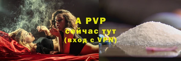 ГАЛЛЮЦИНОГЕННЫЕ ГРИБЫ Каменка