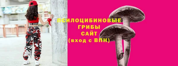 ГАЛЛЮЦИНОГЕННЫЕ ГРИБЫ Каменка