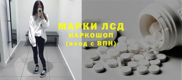 ГАЛЛЮЦИНОГЕННЫЕ ГРИБЫ Каменка