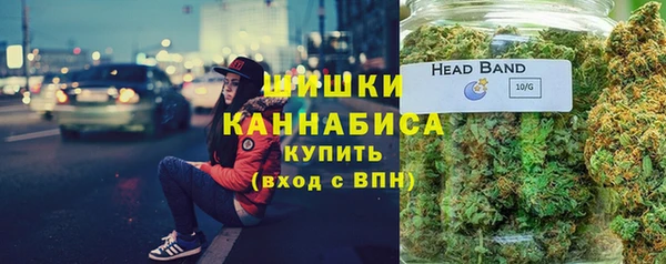 ГАЛЛЮЦИНОГЕННЫЕ ГРИБЫ Каменка