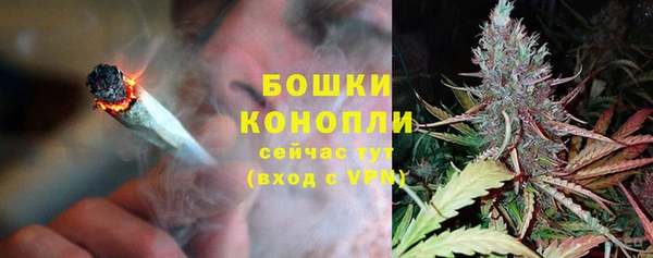 ГАЛЛЮЦИНОГЕННЫЕ ГРИБЫ Каменка