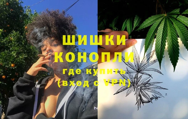 ГАЛЛЮЦИНОГЕННЫЕ ГРИБЫ Каменка