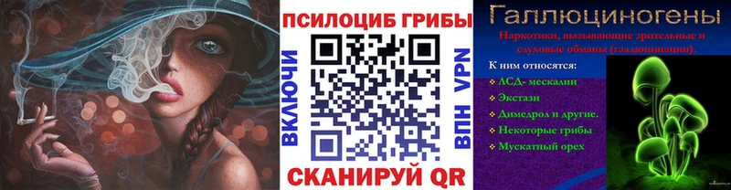 Купить  Лесосибирск  Псилоцибиновые грибы прущие грибы 