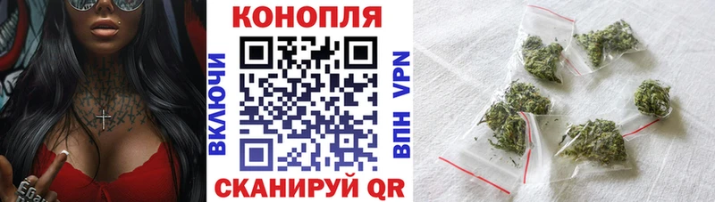 Купить где  Лесосибирск  Каннабис семена 